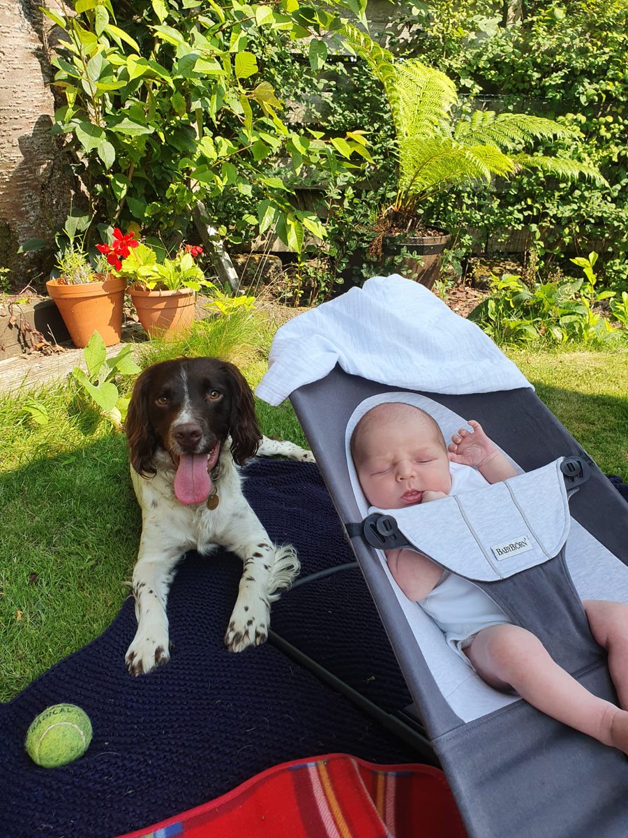 I'm a bit late but happy #InternationalDogDay You'll always be out first baby!