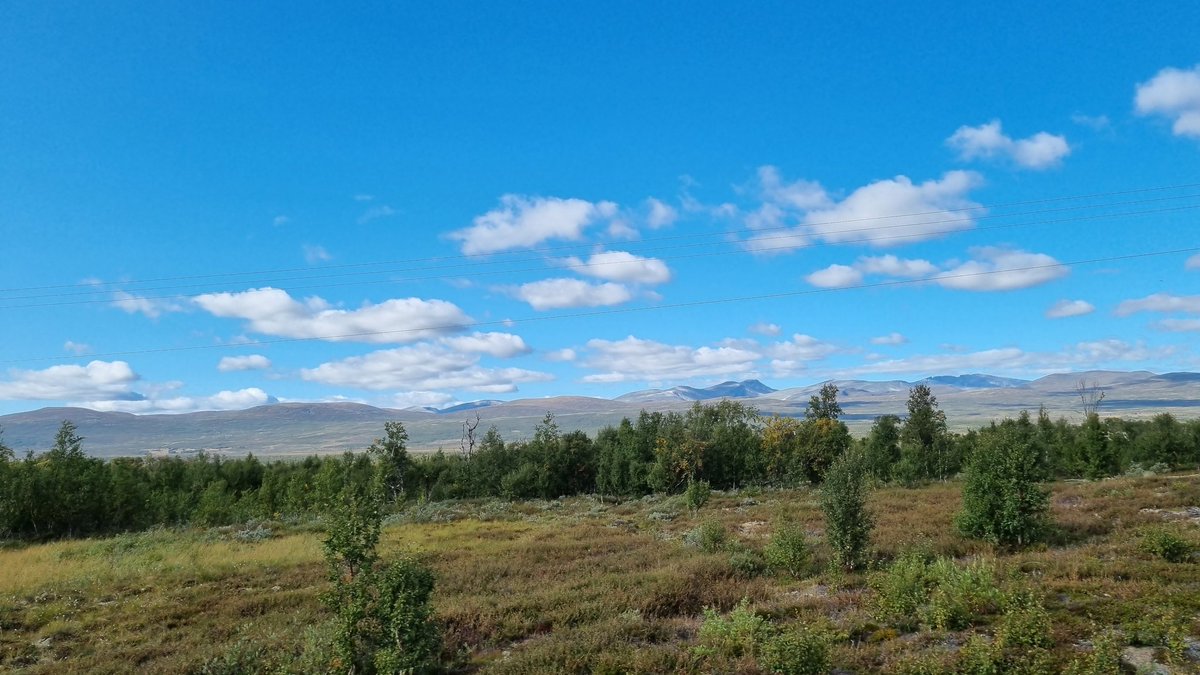 msoervik's tweet image. Kommer aldri over hvilket fint land vi bor i 🥰🤩 #Dovrefjell
