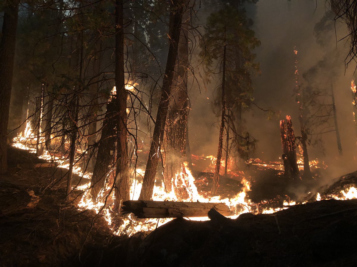 Quick visual inspection along Hwy50. (Unofficial) MS39 east doesn’t look like it experienced heavy fire damage on south side of the road. Again this is just a visual from the road. #Caldorfire <a href="/kcranews/">kcranews</a>