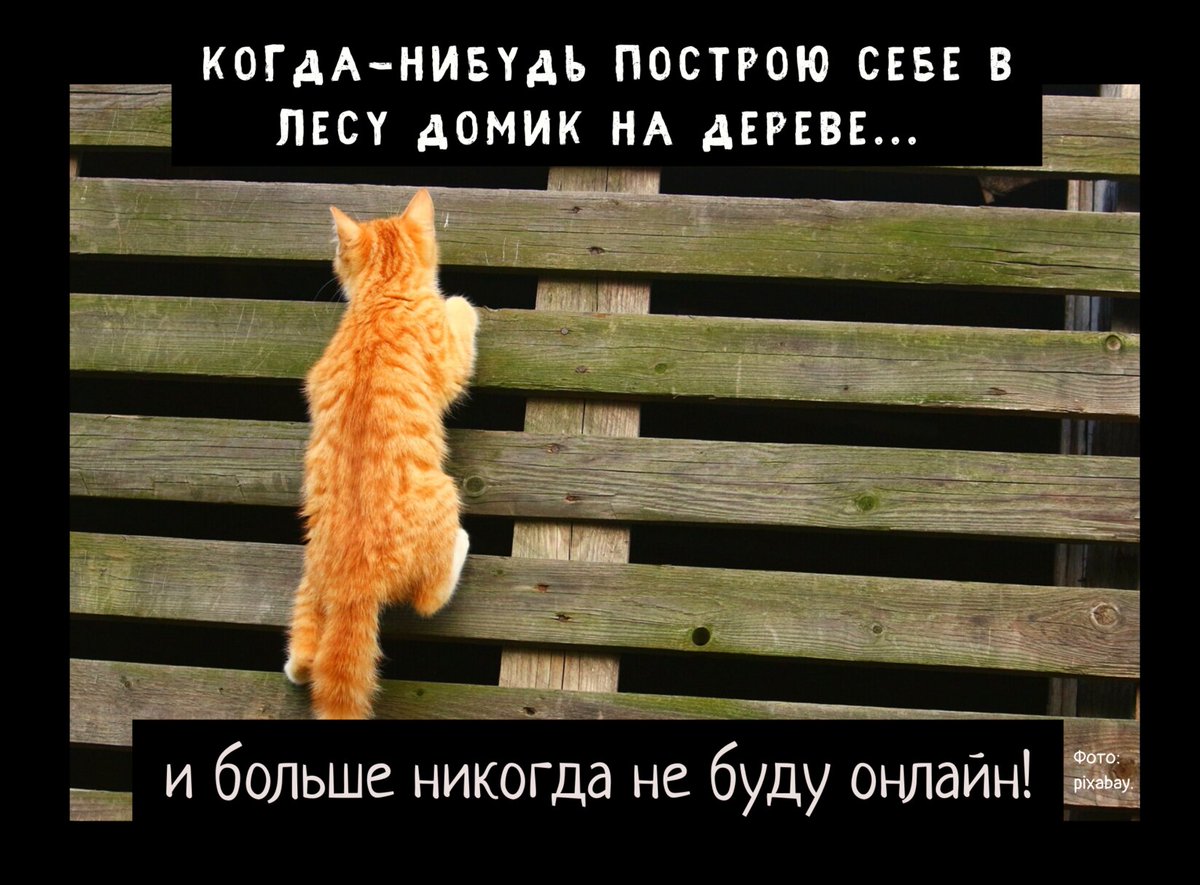 nazapademos's tweet image. Индейский вигвам и дом на дереве. Чем занять детей на даче?
na-zapade-mos.ru/1036226-deti-n…

Лучше всего расположить игровой домик в саду. При этом из окна или с крыльца взрослые должны видеть и слышать детей, - рассказывает наш постоянный консультант Алексей Бабин.

#домикнадереве