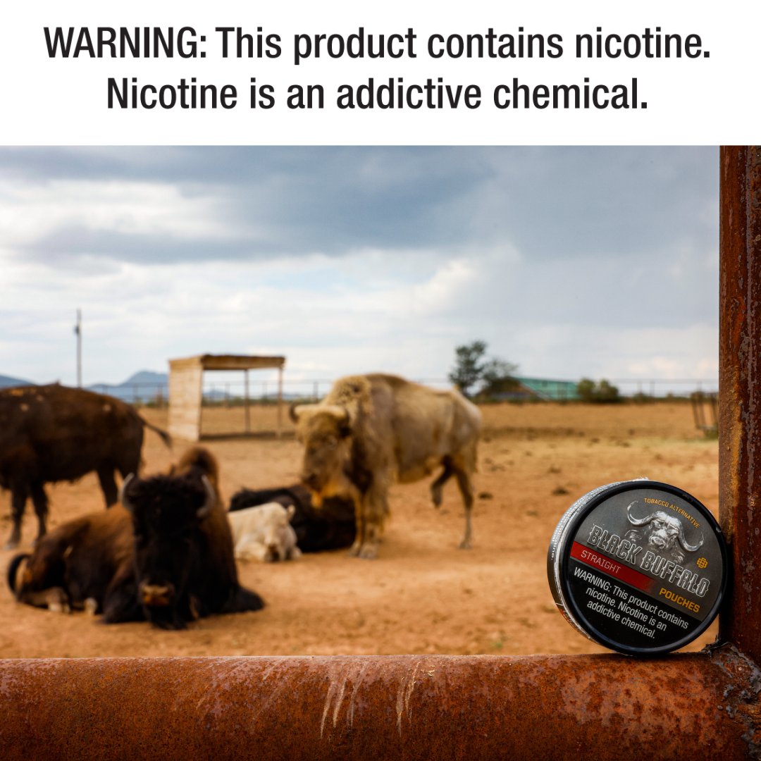 Badasses!!! Dippin <a href="/BlackBuffaloInc/">Black Buffalo</a> while takin care of my herd of buffalo.

Save a few bucks with promo code COWBOY on bit.ly/3sU57EQ. It's BMF!!!