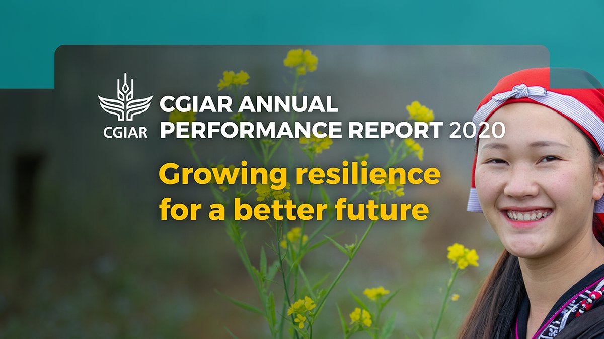 CGIAR's tweet photo. In 2020 CGIAR revenue was USD 736 million, an 11% decrease from the previous year. Despite this, system-wide results have improved.
Explore the highlights of our financial performance and funding in 2020: https://t.co/iBp9JcOd3B #APR2020 #OneCGIAR https://t.co/QMr0xtj5Yr