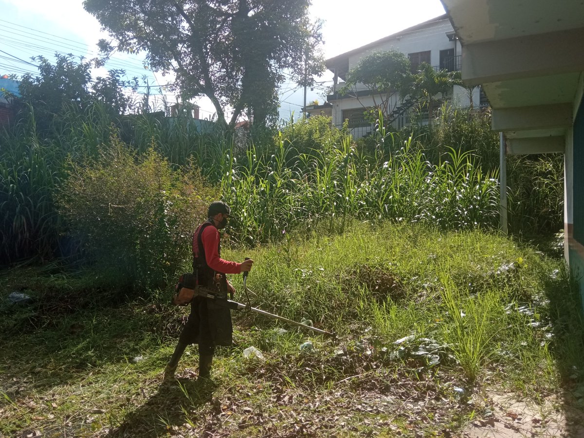 ebjarval's tweet photo. #Ahora un cariñito para la institución. Labores de guadaña en nuestra #ebjarval gracias a la Prof Ruby Ordóñez y nuestra directora @HayvicM @charlychaves @psuv_yelitze @ZonaEducTachira @MPPEDUCACION @Div_Ini_Pri_Esp @BolivarianasZET @Aranero2R https://t.co/2z9KWgmpOU
