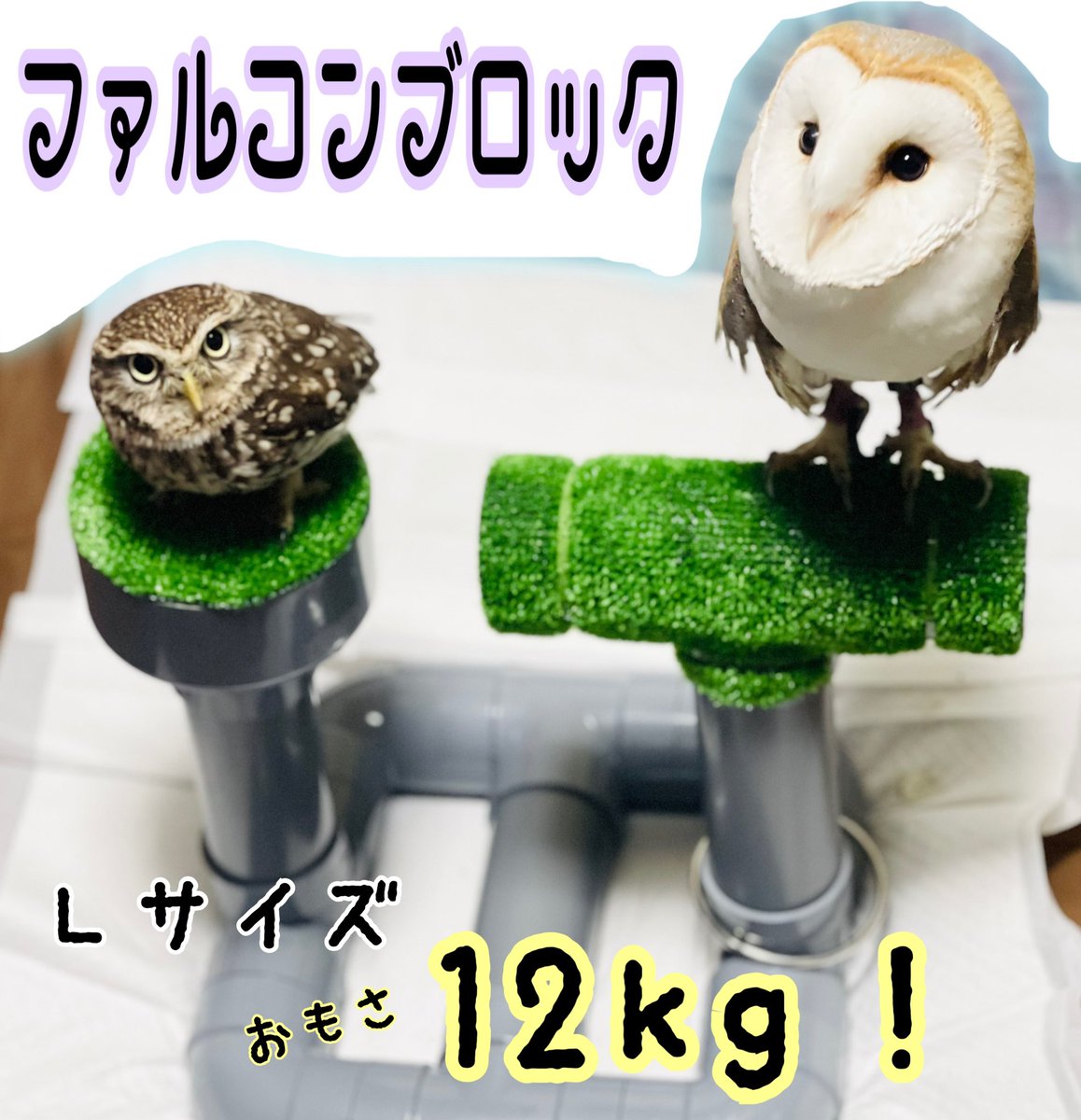 メーカー純正品[充電不要 1年保証] 猛禽類 ボウパーチ 約20kg 小型