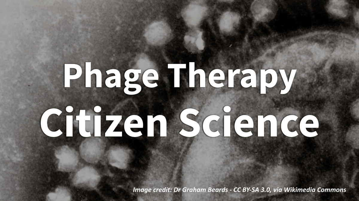 We're thrilled to be working with @LabTemperton @UofE_Research on a hugely important #CitizenScience project on #Phage Therapy - a promising solution to antibiotic-resistant bacteria 🧫💉🦠 Learn more on our latest news post: exetersciencecentre.org/phage-therapy-… & follow us for updates!