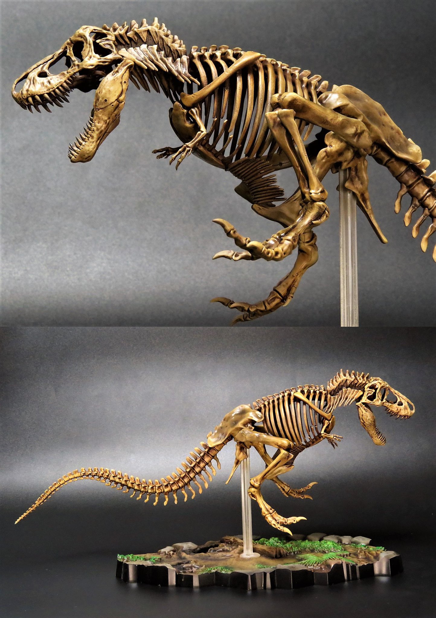 【塗装済完成品】即購入歓迎　バンダイ　ティラノサウルス 1/32スケール さるタジラ on X: 