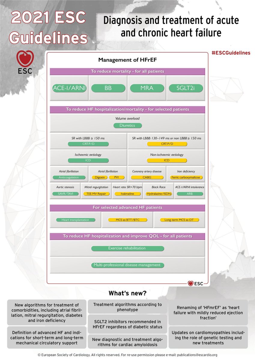 ❤️Outstanding work by #ESCGuidelines @escardio task force on heart failure!
❤️Many recommendations based on Level 1A evidence-amazing!
❤️In chronic heart failure, 92% of recommendations based on RCTs-wow!
@mirvatalasnag @ESC_Journals HFrEF, HFpEF, HFmrEF..
academic.oup.com/eurheartj/adva…