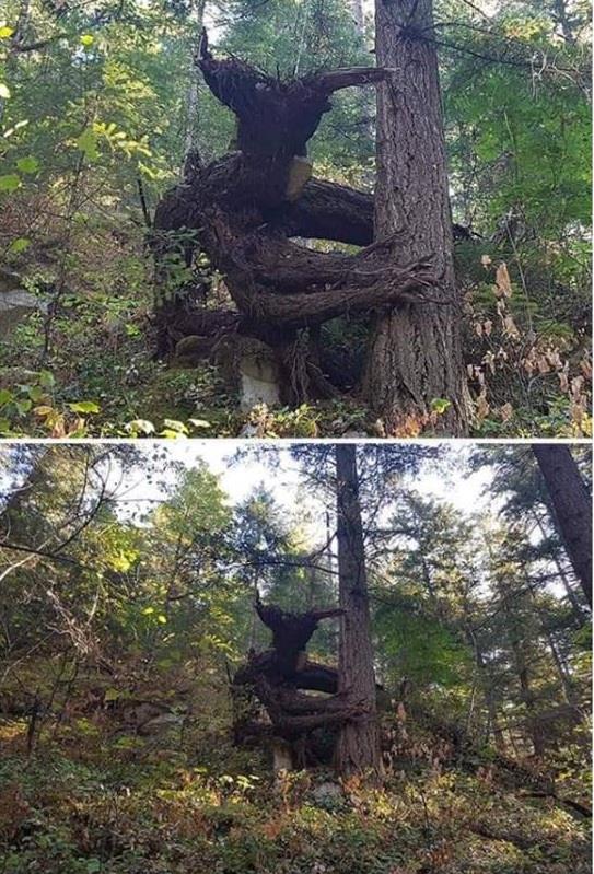 LedgerLoop tweet media