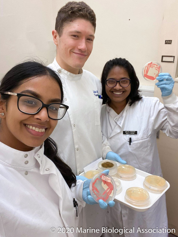 Are you starting your #marinebiology career journey?

We're here to help you #setyourselfpart! From 1 to 30 September student members can enjoy free online subscription to our academic journal using the offer code 'STUDENT21'

Become an #MBAMember today: mba.ac.uk/student-member…