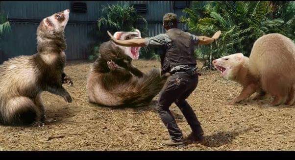 ジュラシックパークの予告が流れると、どうにもネットの海で拾ったこれを貼りたくなってしまう…🤔