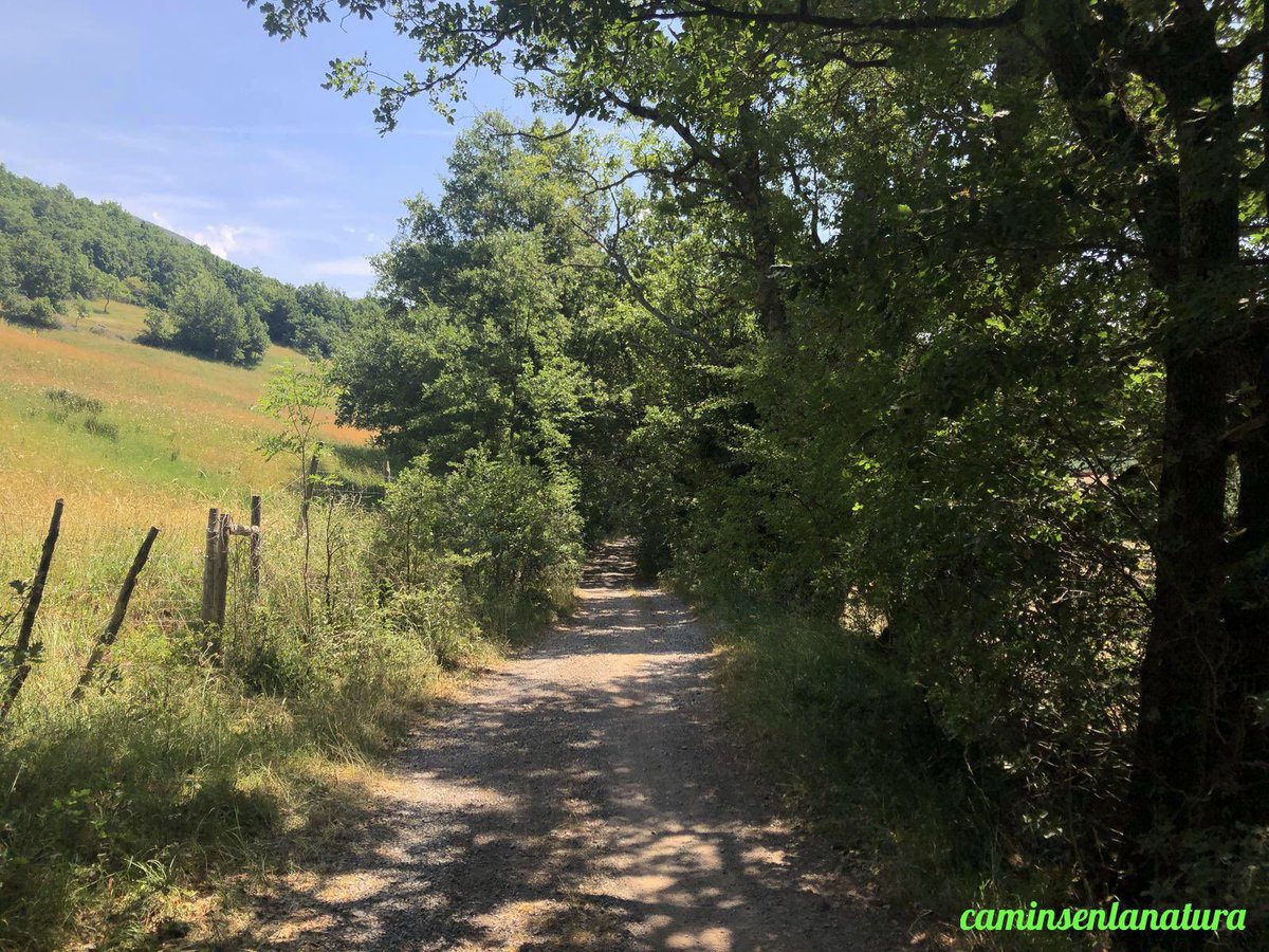 caminsnatura's tweet photo. 📸 Camí de #Gotarta a #Malpàs.
📍 #AltaRibagorça. https://t.co/jU3uQuRhvK