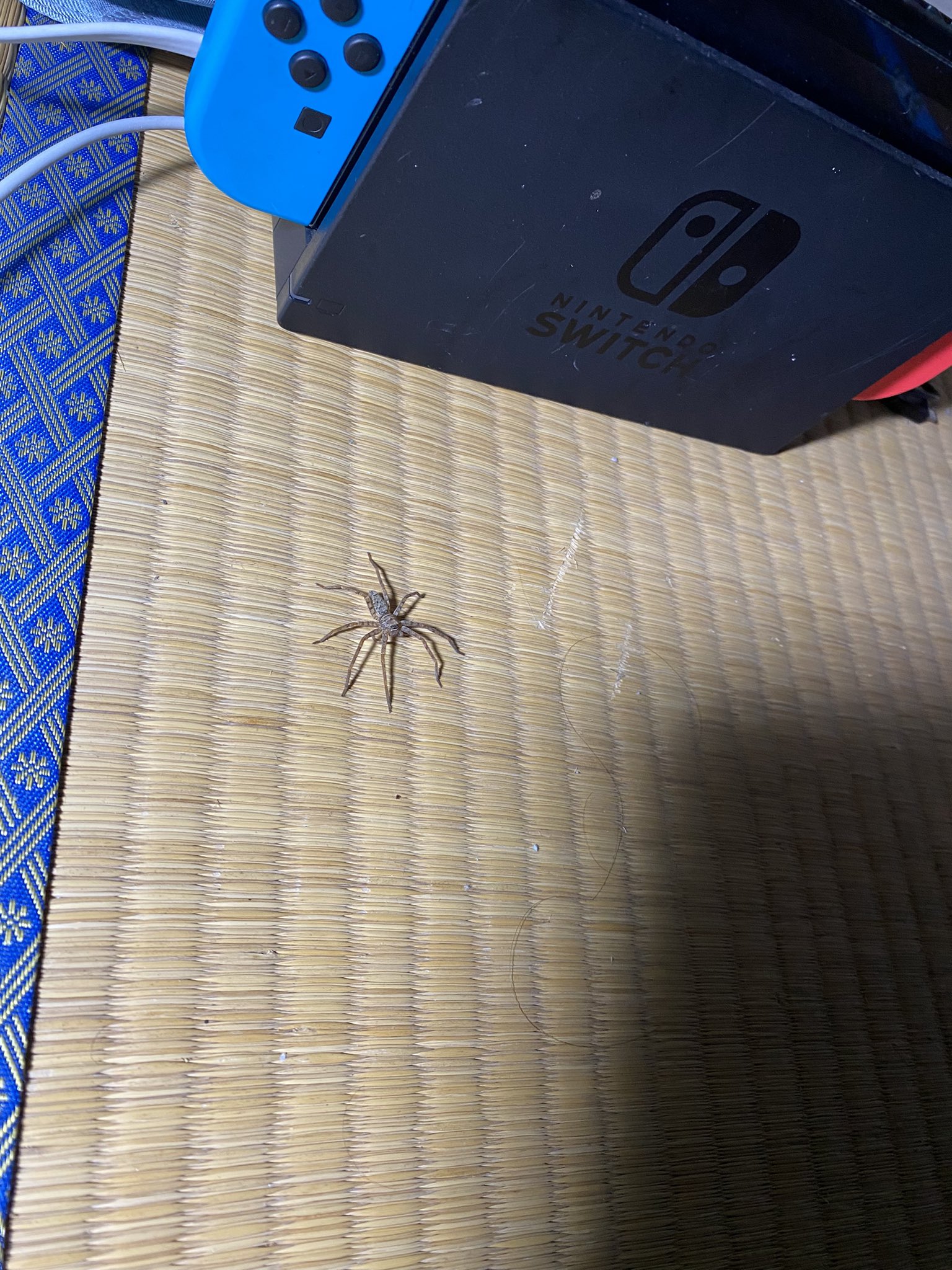 かつどん うわぁでっけーくもw T Co Toaheuz8h2 Twitter