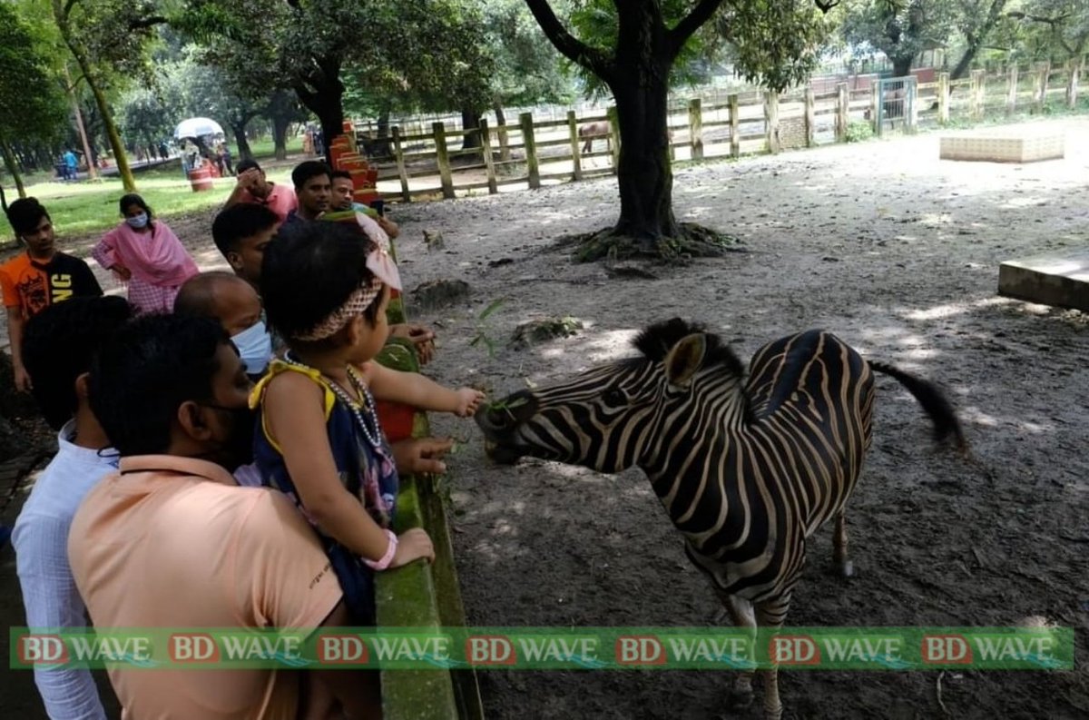 bdwave24net's tweet photo. বৈশ্বিক মহামারী করোনা ভাইরাসের কারণে দীর্ঘ চার মাস বন্ধ থাকার পর শুক্রবার (২৭ আগস্ট) জনসাধারণের জন্য উন্মোক্ত করে দেয়া হলো ঢাকার জাতীয় চিড়িয়াখানা। https://t.co/dbq8y6q8NG