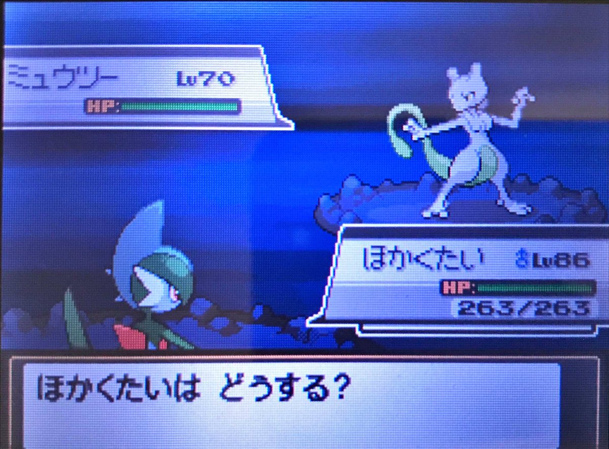 ポケモンhgss Twitter Haku ポケモンhgss Twitter Haku