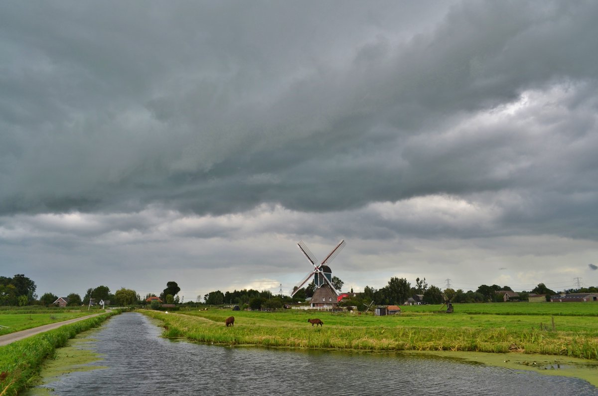padt005's tweet image. Zon wolken en af en toe een bui op 27 aug. Bleskensgraaf.