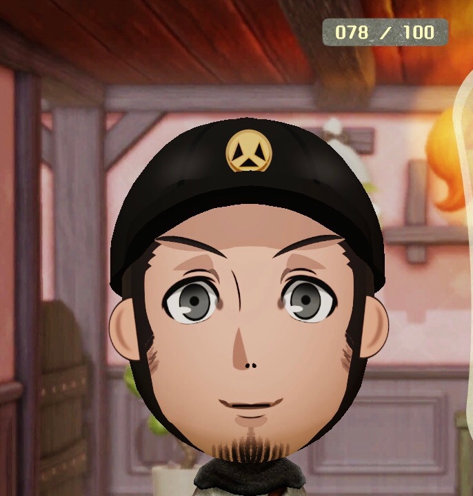 バーチョ 菜穂子ぉーー 風立ちぬ見ながら作りました ペルソナ3より伊織順平とチドリです チドリは作る気なかったんですけど 順平いるならチドリも必要だろうと いつの間にか作ってました きっと風立ちぬの影響 ミートピア Miitopia ペルソナ3