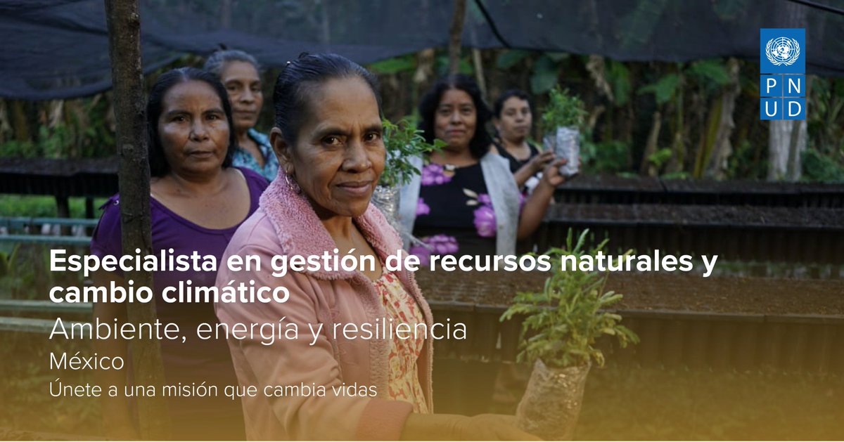 PNUD_Mexico's tweet photo. Únete al proyecto “Fortalecimiento de la seguridad hídrica y resiliencia en cuencas prioritarias a partir de Soluciones basadas en la Naturaleza y gobernanza efectiva en el contexto  COVID-19”. 

💦🌳¡Postúlate aquí! https://t.co/VYeI4HTRmI https://t.co/Mp2S6dTY6Y