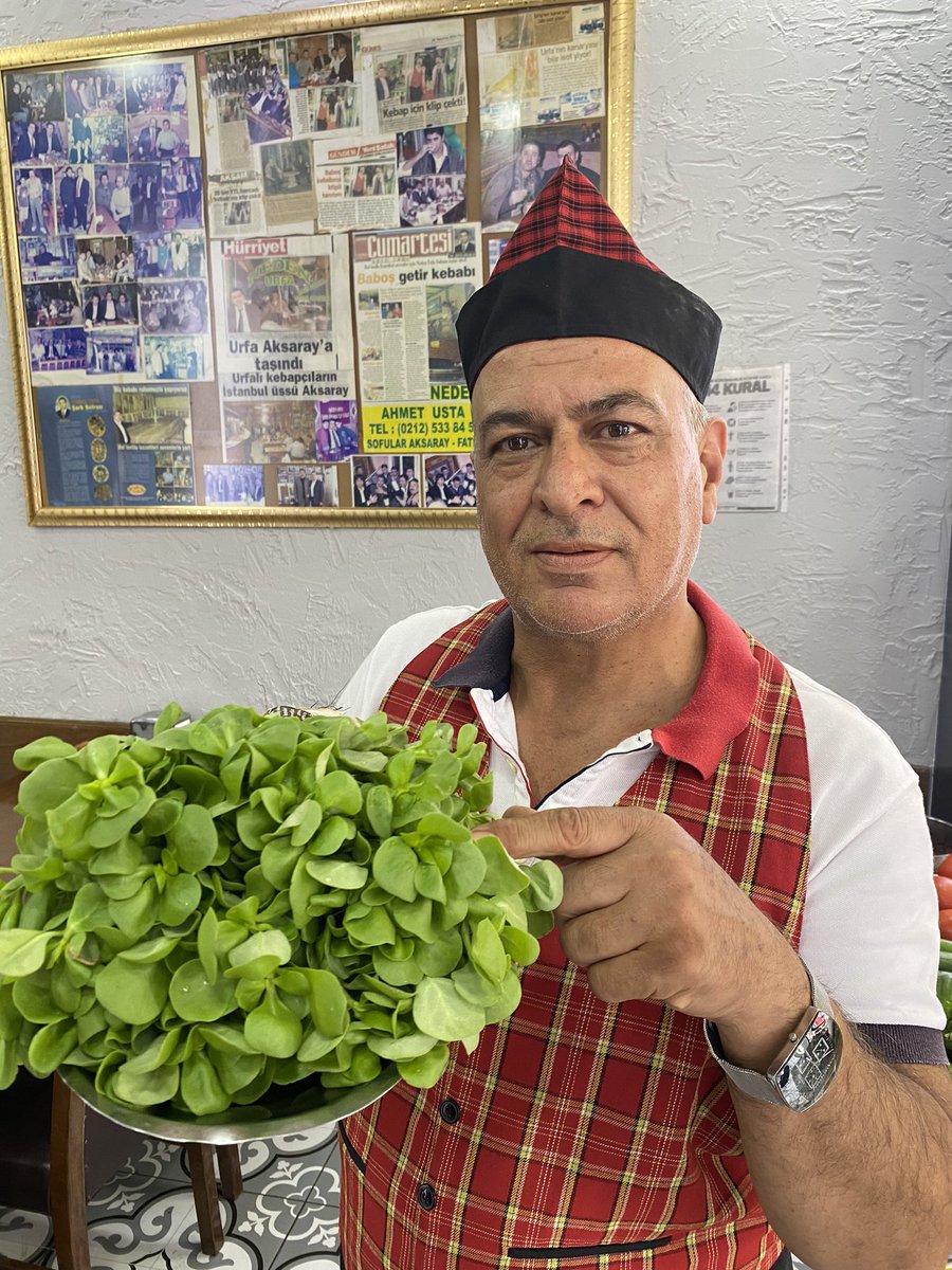 Aşk ve sevgiyle. Yapılan  herşey güzel olur  bu. Gördügünüz otun ismi ne. En çok. Şanlı urfada Hangi. Salataya koyulur .HAYIRLI CUMALAR DİLİYORUM.