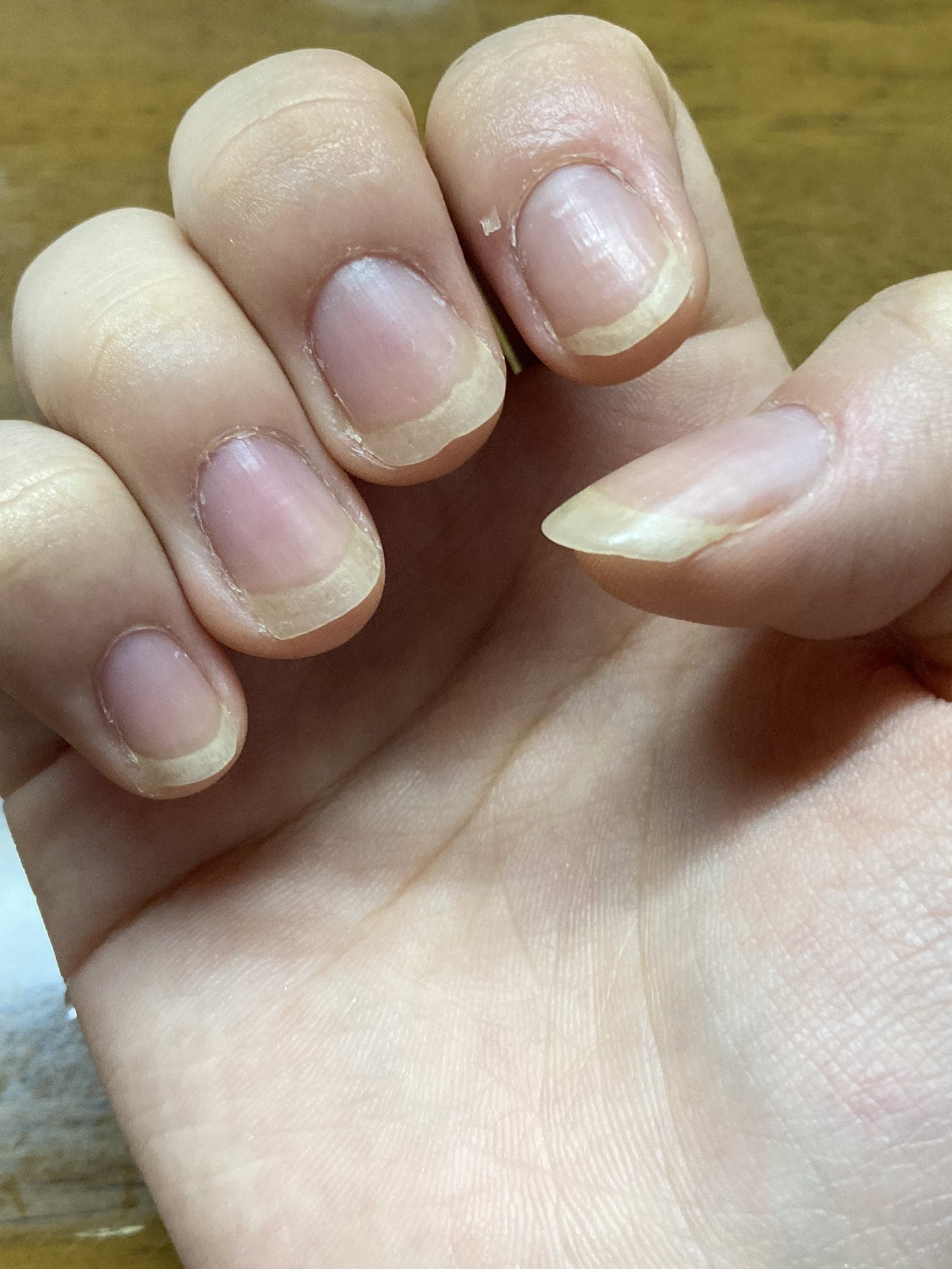 Y 育爪 Tumenobiro Beam Twitter