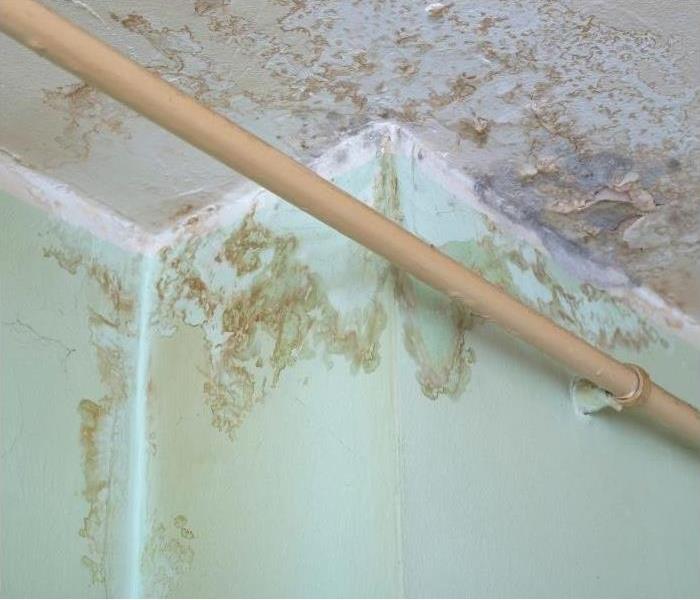 SERVPROEPhoenix's tweet image. Do You Know When to Call a Pro for Water Damage? Learn more: ow.ly/rWMF30rRPnU #SERVPRO #SERVPROofEastPhoenix #waterdamagehelp #waterremediation