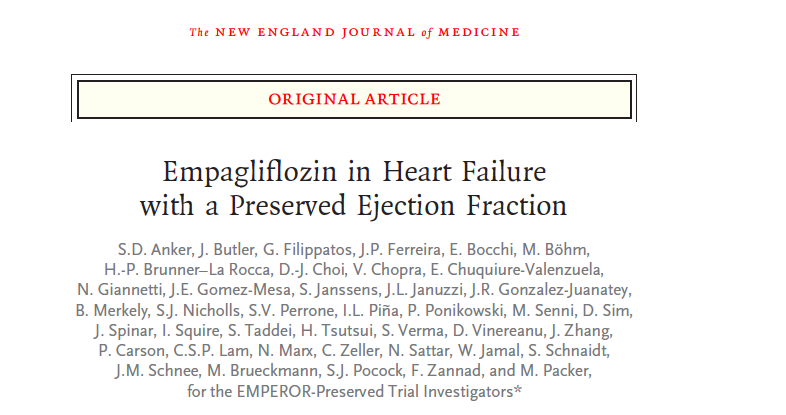 Gonzalo Perez tweet media