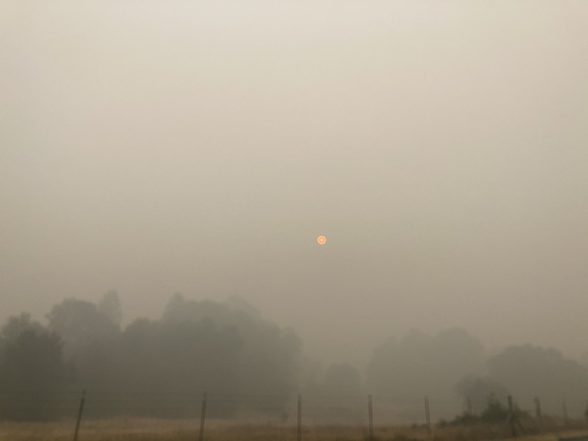 RandallSinkiew1's tweet photo. Good morning from the Placerville area. Saw a number of fire vehicles and engines covered in pink retardant. So #Thankful #ThankyouCalFire and all battling the #CaldorFire #ThankYou https://t.co/QkKUXYWoEe