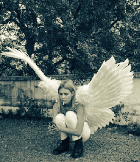 ChapySab's tweet photo. .
À défaut de brûler ses ailes
Elle crame ses poumons
Même les anges s'égarent !

Belle et douce soirée mes Vous
Je Vous Embrasse 💫🎶❤😘 https://t.co/nMpfubqIQh