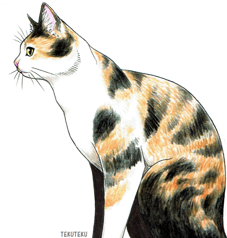 「」|TEKUTEKUのイラスト
