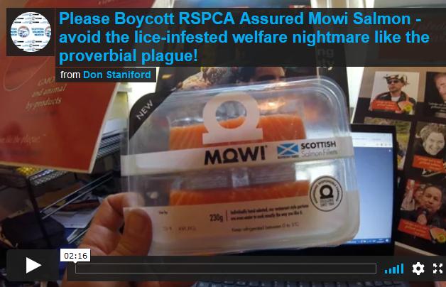 Please Boycott RSPCA Assured Mowi Salmon - avoid the lice-infested welfare nightmare like the proverbial plague! vimeo.com/593343199 <a href="/MowiScotlandLtd/">Mowi Scotland Limited</a> <a href="/sainsburys/">Sainsbury's</a> <a href="/SainsburysNews/">Sainsbury's News</a> <a href="/rspcaassured/">RSPCA Assured</a> <a href="/RSPCA_PATeam/">RSPCA Public Affairs</a> <a href="/RSPCA_official/">RSPCA (England & Wales)</a> @SSPOsays @RSPCAChris <a href="/ChrisGPackham/">Chris Packham</a>