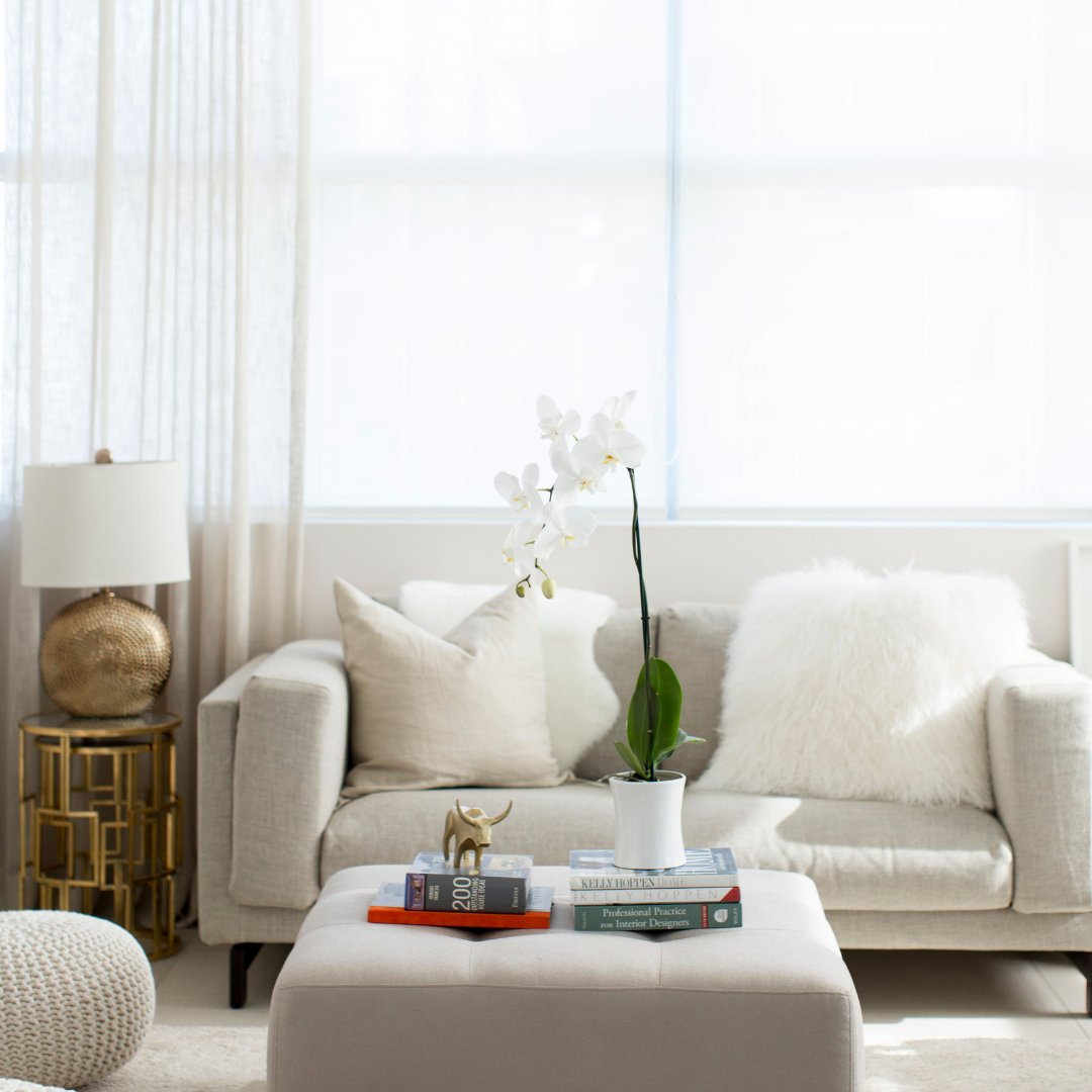 Comment below we would love to know what is your favorite place to display your orchids.⁠
 #orchidlover #orchidcollection