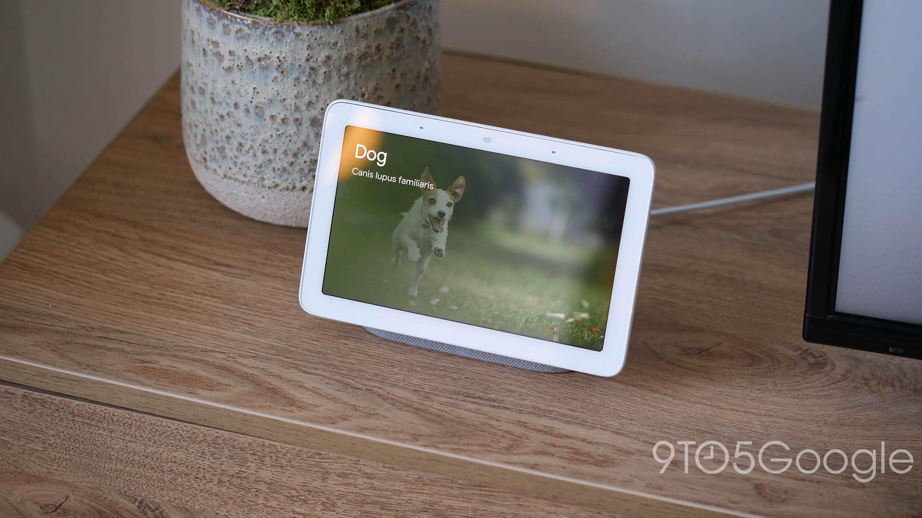 9to5Google on X: Deals: Google's prev-gen. Nest Hub has dropped to $60,  Fitbit Versa 2 $150, more  by @blairaltland   / X