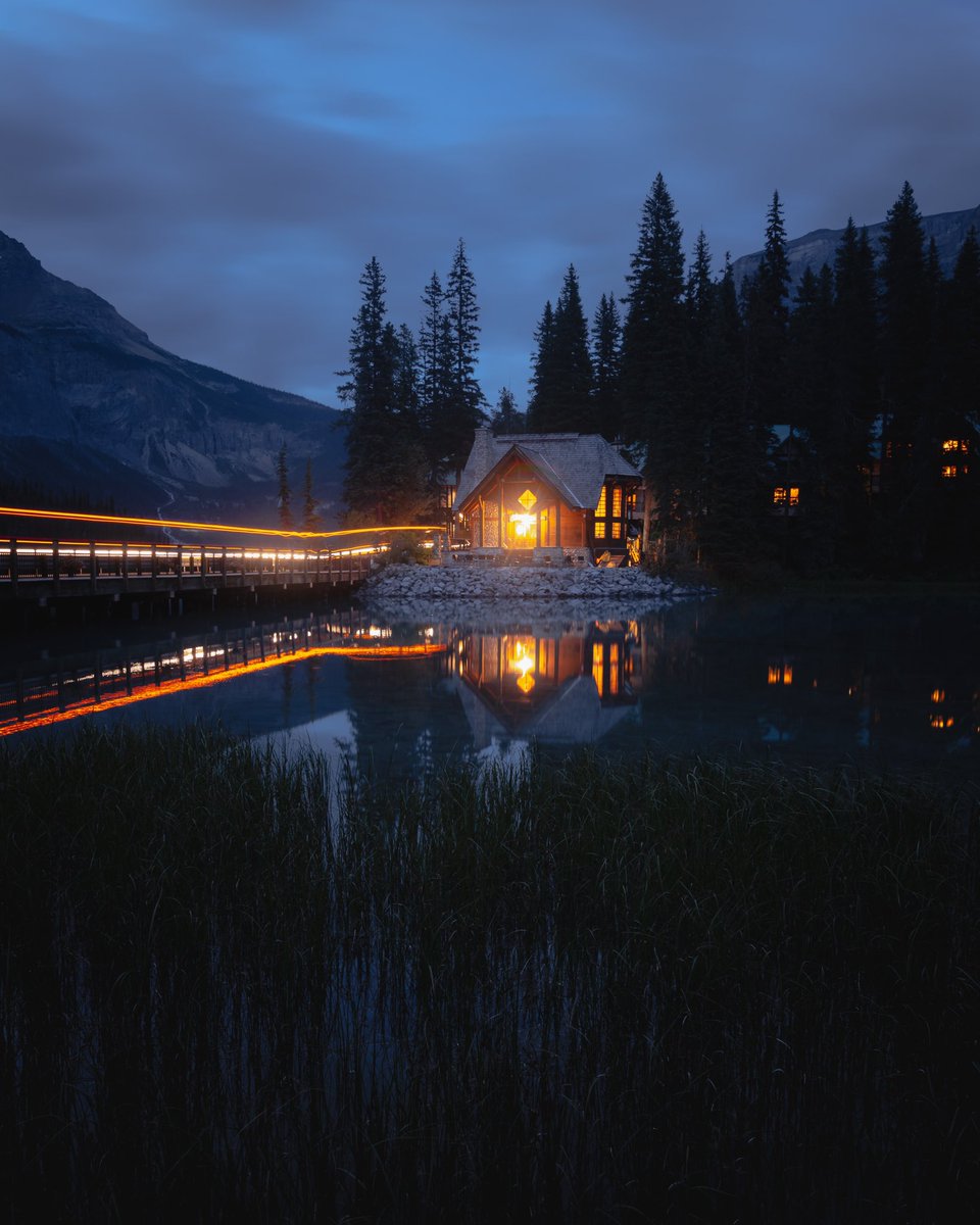 minizmal tweet media