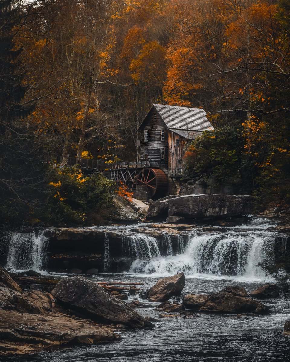 minizmal tweet media