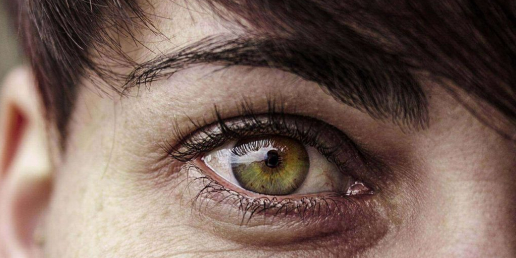 ThalesDigiSec's tweet image. Did you know that the #irisbiometrics market could be worth $4.3 billion worldwide by 2026? This is no surprise given the exponential growth of using biometrics as a preferred method for #authentication in many industries.

Read the full research here: thls.co/tZsT50FZqXm