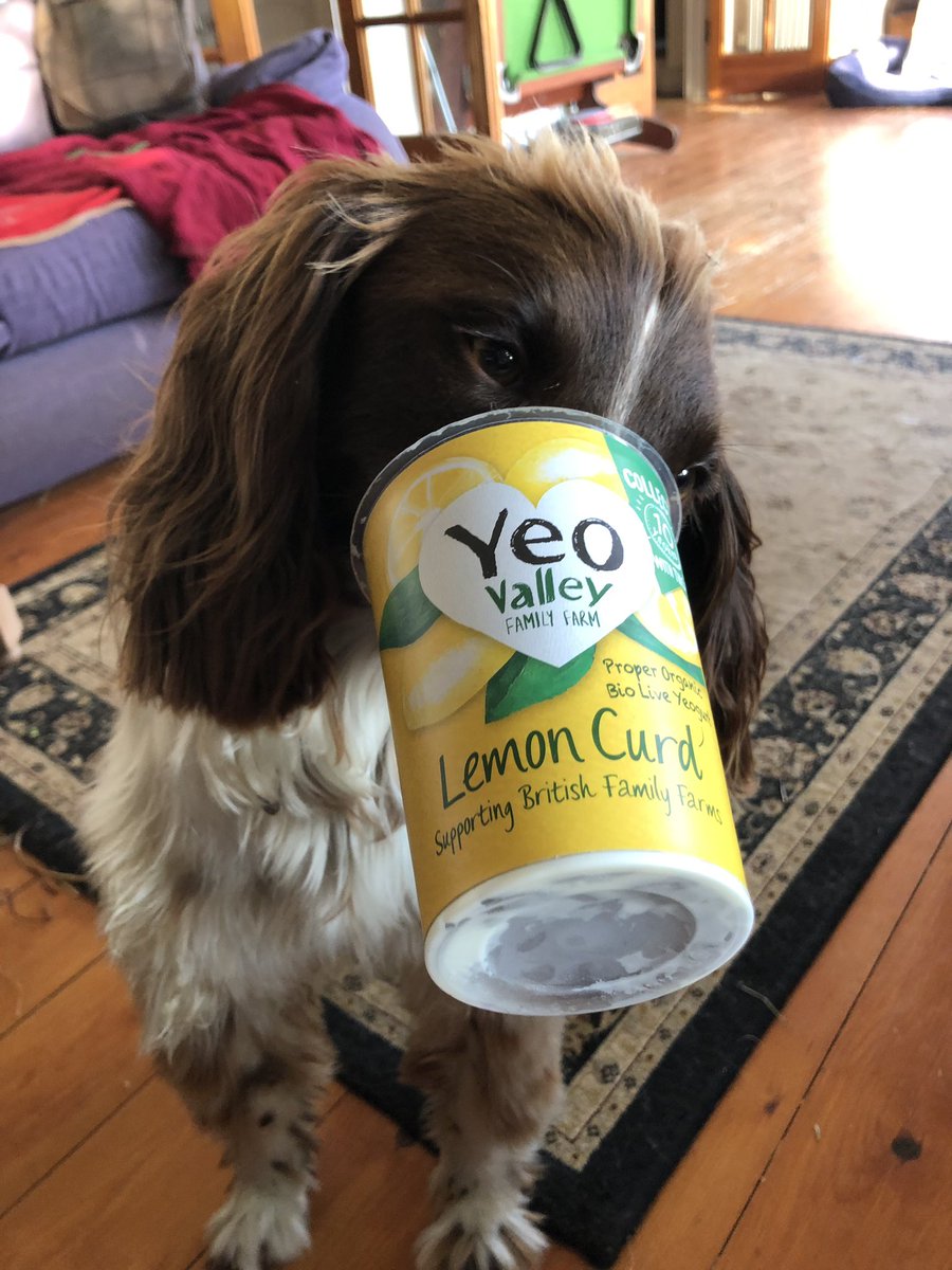 Loving it <a href="/yeovalley/">Yeo Valley</a>