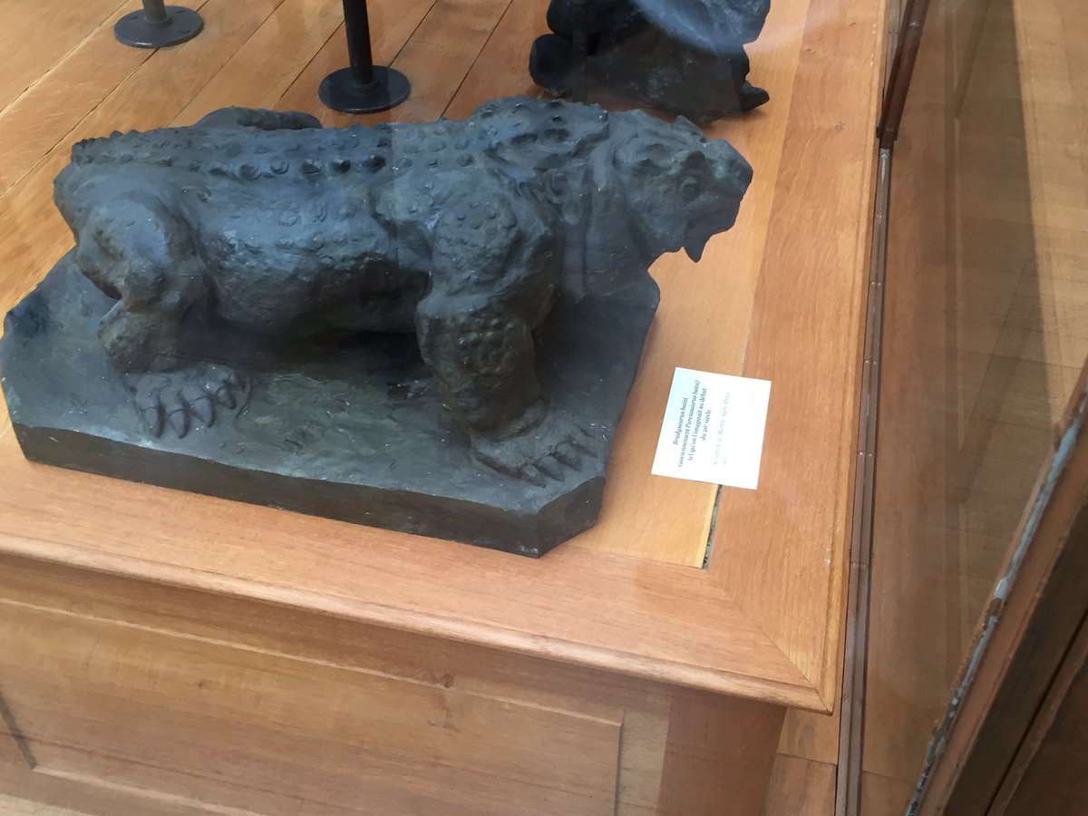 Bradysaurus is a pareiasaur, a group of armoured herbivores. As seen in this reconstruction from the display, the armour was an array of bony scutes/osteoderms spread across the back, more like an ankylosaur rather than a proper shelled tortoise/armadillo