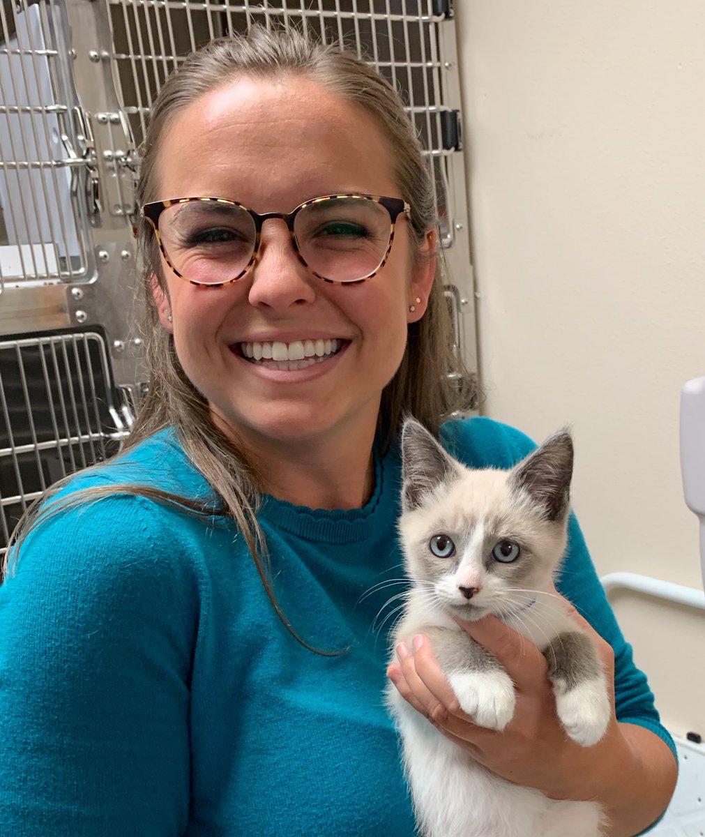 WesleighOgle's tweet image. Oh no...I’m at it again 😳 Went to @CatAdopt for a story &amp;amp; fell in love with Reggie! He’s from Saving Grace in Roseburg. He was moved up here to make room for cats &amp;amp; kittens displaced by the #MP97Fire. Should I get Sylv a baby brother??😻