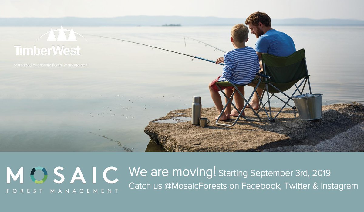 Starting September TimberWest Forest Corp will be moving our page to <a href="/MosaicForests/">MosaicForests</a>. We invite you to catch us over there to receive timely information on camping, access, firewood, contest updates and more!