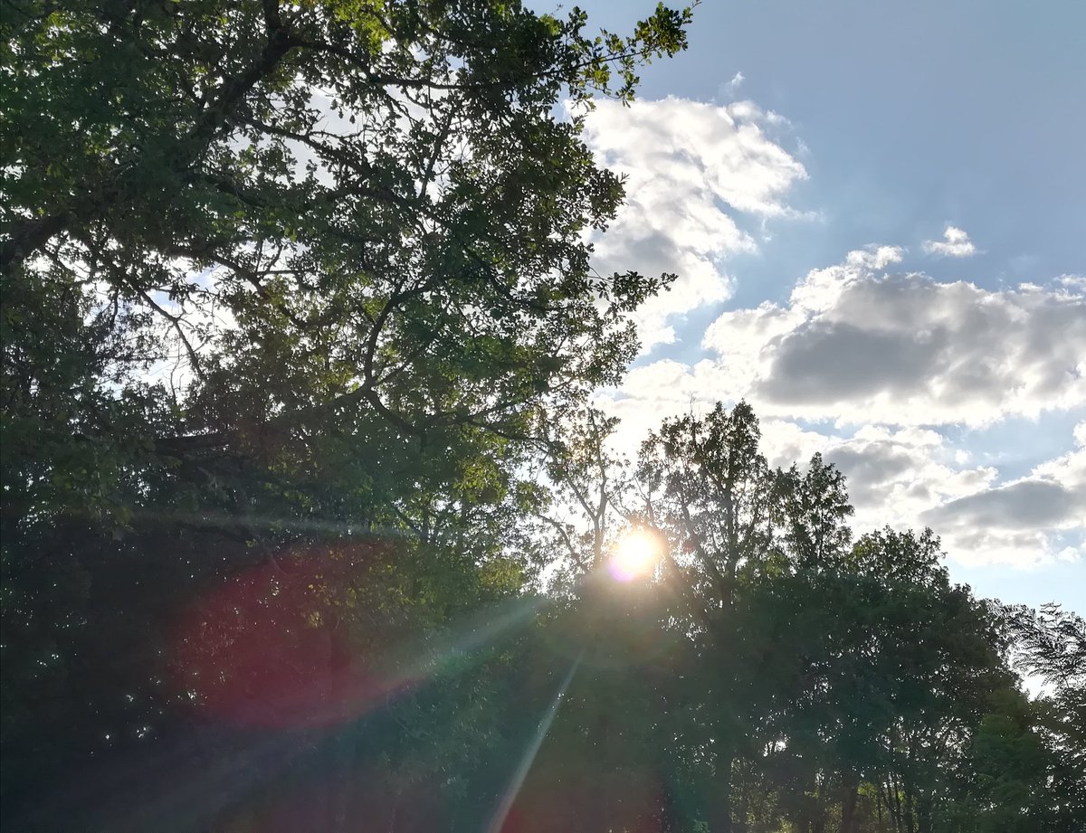IsaLevyPrat's tweet photo. Un grand bol d air dans ce magnifique bois avant de découvrir
#Cingle de #Tremolat
#live #Dordogne https://t.co/8dqt0BuYQo