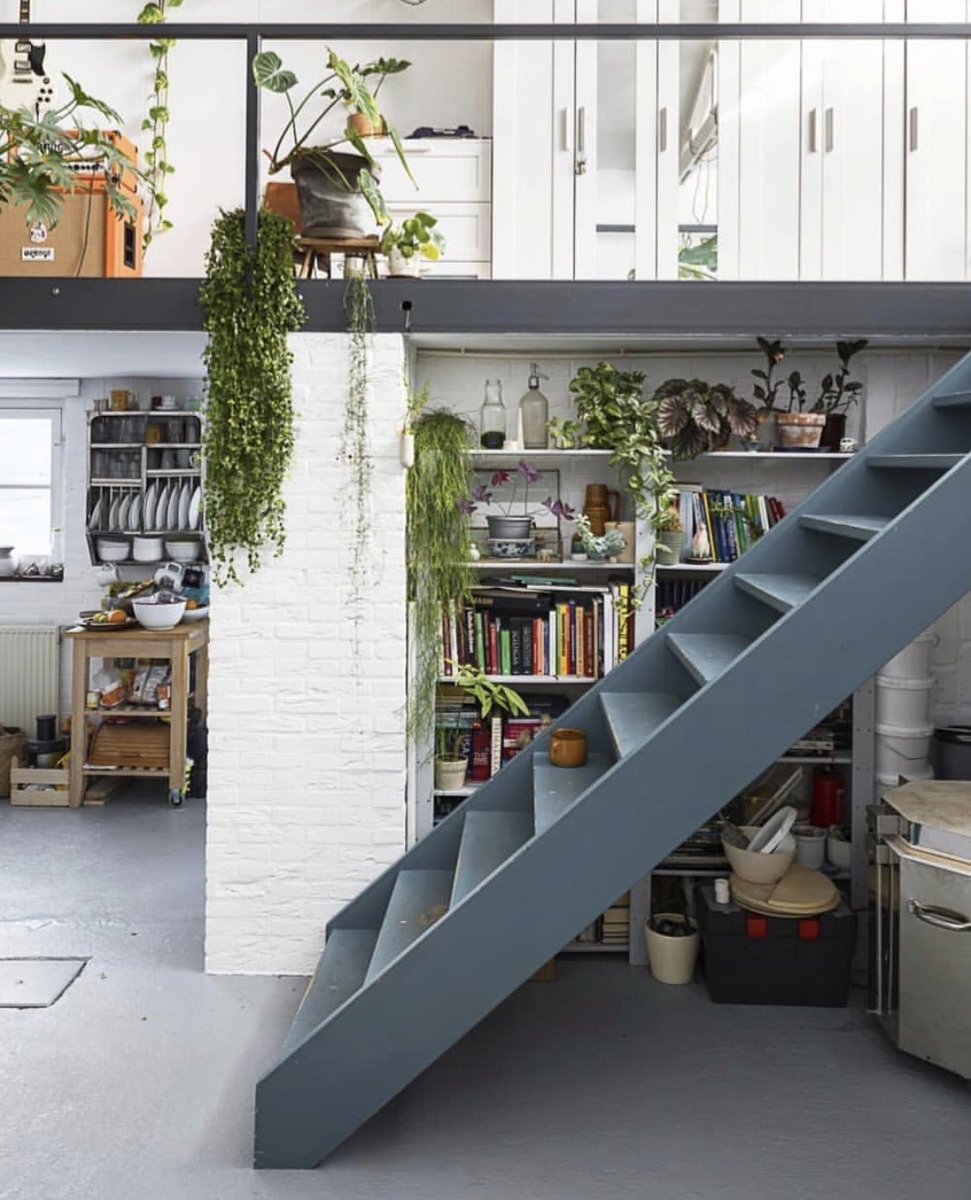 ahouseplanting's tweet photo. https://t.co/1k4FfTN4YB