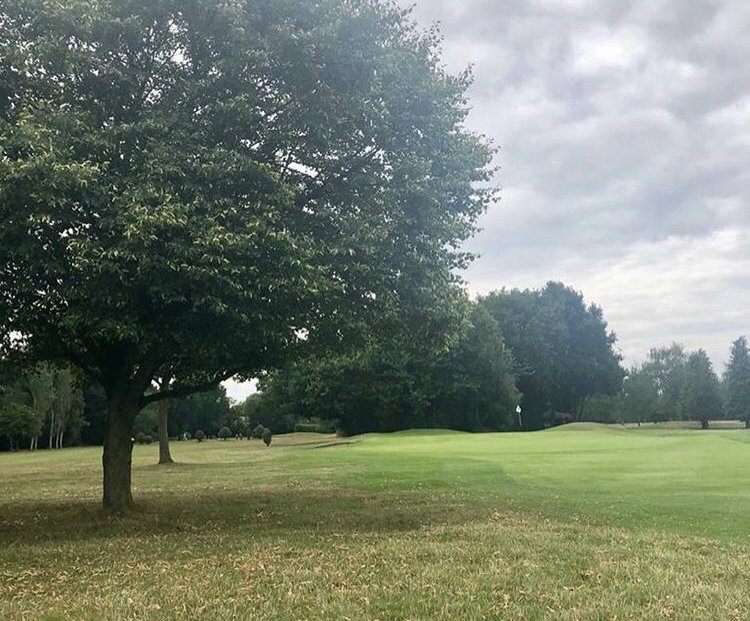 Romfordgolfclub's tweet photo. Great work this week by the greens team, raising all the willows and some other low branches #golfclub #rgc #golfcourse #golf #easywalkingcourse https://t.co/z9YGOou6sQ