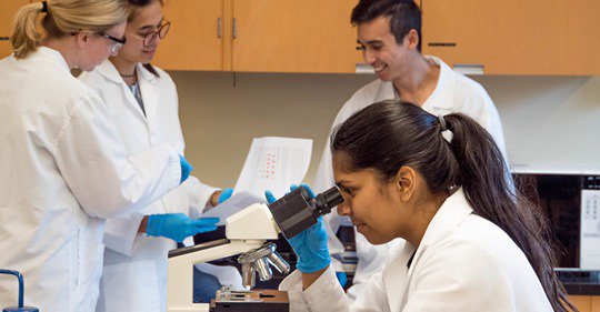 We've shared some incredible fundraising stories recently, but do you know where the money goes? #ThanksToYou, we recently granted funding of nearly £1.2million to support 9 new research studies to help children with neuroblastoma. Find out more: bit.ly/2YGAvG9 #Research