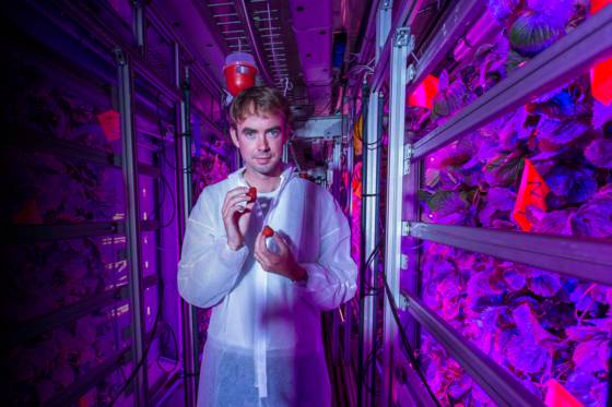 🍓 Des fraises délicieuses 🍓
- Produites en pleine ville
- Avec 90% moins d’eau
- Sans pesticides ni OGM

Découvrez <a href="/_agricool/">Agricool</a>, deux enfants d’agriculteurs avec un idéal, un projet : du goût pour tous, près de chez soi.