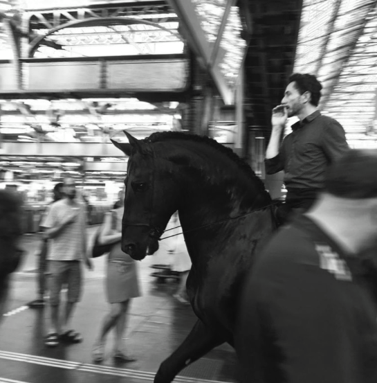 horsealot's tweet photo. GARE DE L'EST

Récemment, Camille et Manolo ont surpris les voyageurs de la #Gare de l'Est en arrivant à cheval ! Avec cette performance, 'Surgissement', les deux #artistes créent des instants de #poésie dans les endroits les plus improbables.

Photographie : Nicomeanz

#horse https://t.co/Qcgis38Fby