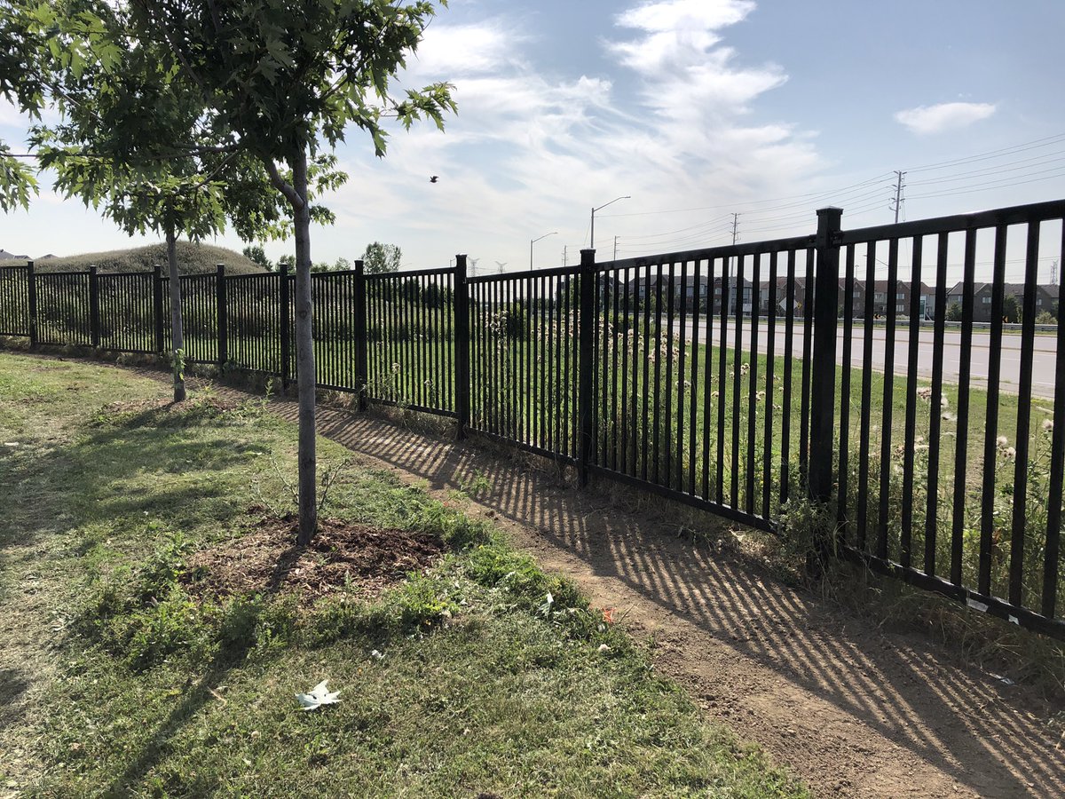 Ray Lawson P.S. (@raylawsonps) on Twitter photo The work continues here <a href="/RayLawsonPS/">Ray Lawson P.S.</a> for our outdoor learning space. The ground is being prepared to plant shrubs along our fence. The shrubs will help with noise reduction and a windbreak. Thank you @tdfef The work continues here <a href="/RayLawsonPS/">Ray Lawson P.S.</a> for our outdoor learning space. The ground is being prepared to plant shrubs along our fence. The shrubs will help with noise reduction and a windbreak. Thank you @tdfef
