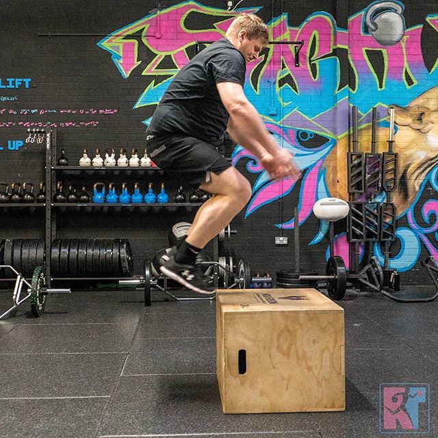 Reactive Training Gym tweet media