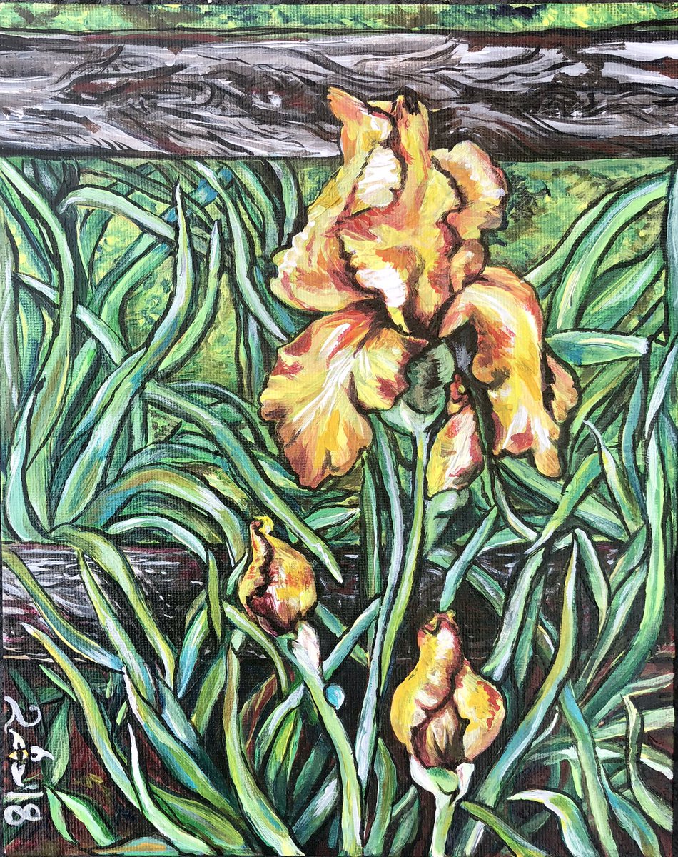 NeFaces's tweet photo. Irises, acrylic on canvas #hashtag #fineart #painting #art #fancyfacesofne #fancyfacesofnewengland #boston #newhampshire #massachusetts #newengland https://t.co/R2SOONHoq8