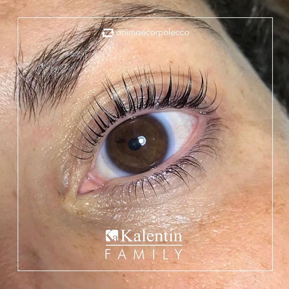 Kalentin_uk's tweet photo. Who knew natural lashes could look so good! 😍 We are obsessed with these incredible results from @animaecorpolecco using our KLC Lash Lift. Thank you for being part of our #KalentinFamily 💜 #lashlift #klclashlift #lvllash #kalentin #lashgoals #lashartist #lashpro https://t.co/5mwy2o3kBy
