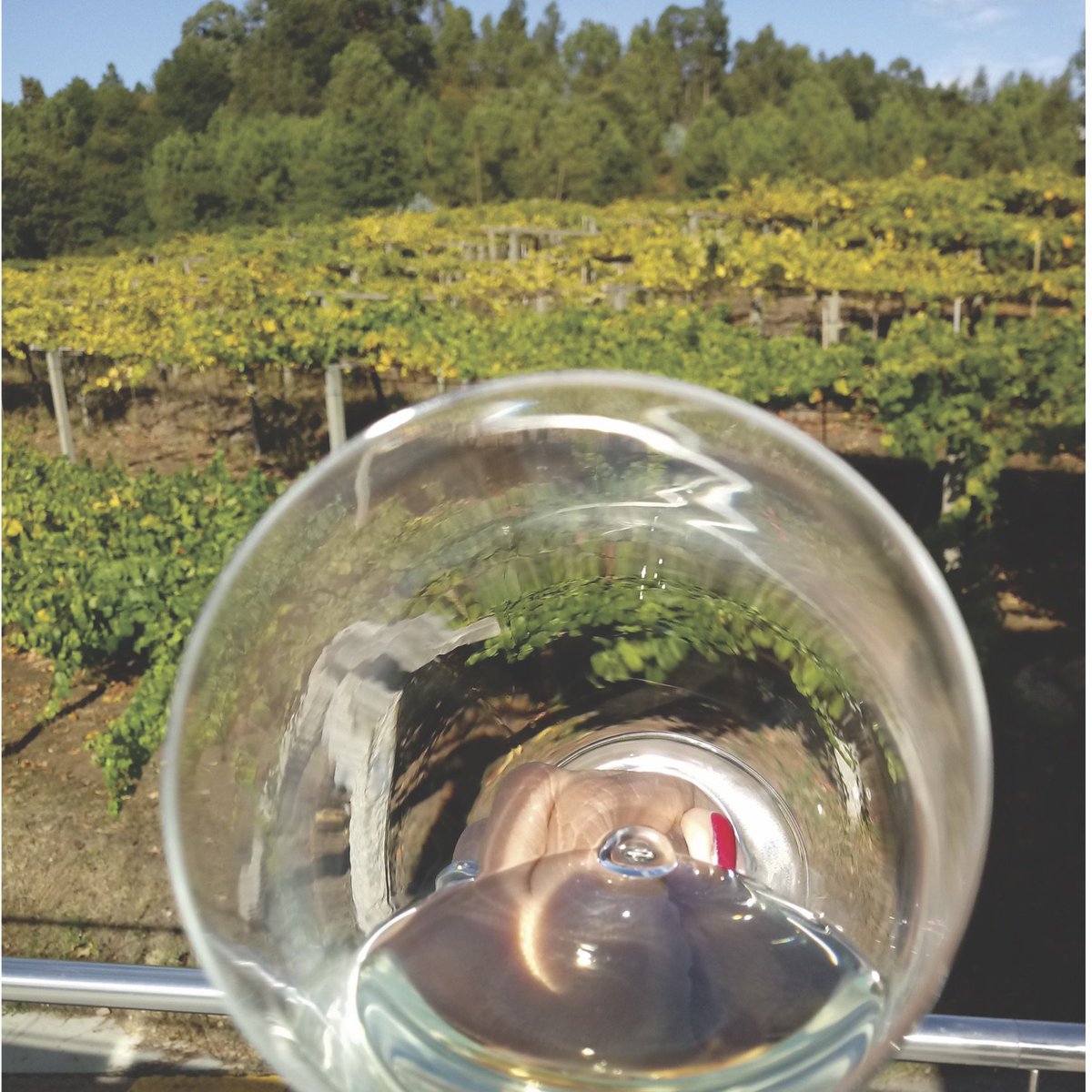 En la #SemanaDelAlbariño compartimos la visita a uno de nuestros #Albariños favoritos: <a href="/MARDEFRADES/">MAR DE FRADES</a>  Su enigmática botella AzulNáutico, frescura y distintiva mineralidad, conforman en todo sentido un #AlbariñoAtlántico. Con  90+ puntos <a href="/guiapenin/">Guía Peñín</a> 2020. ow.ly/grAb50vkedW