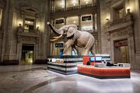 𝔰𝔦𝔭𝔥𝔬𝔫 Twitter પર ナイトミュージアム ではアメリカ自然史博物館の外観だけであとはスタジオ撮影だったが ナイトミュージアム2 では実際のスミソニアン博物館内で撮影が行なわれました 金曜ロードショー 金曜ロードshow ナイトミュージアム2